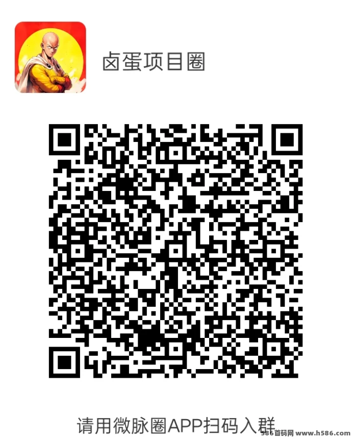 DVPN电脑委托开启，单机稳定赚，每日收入600+！