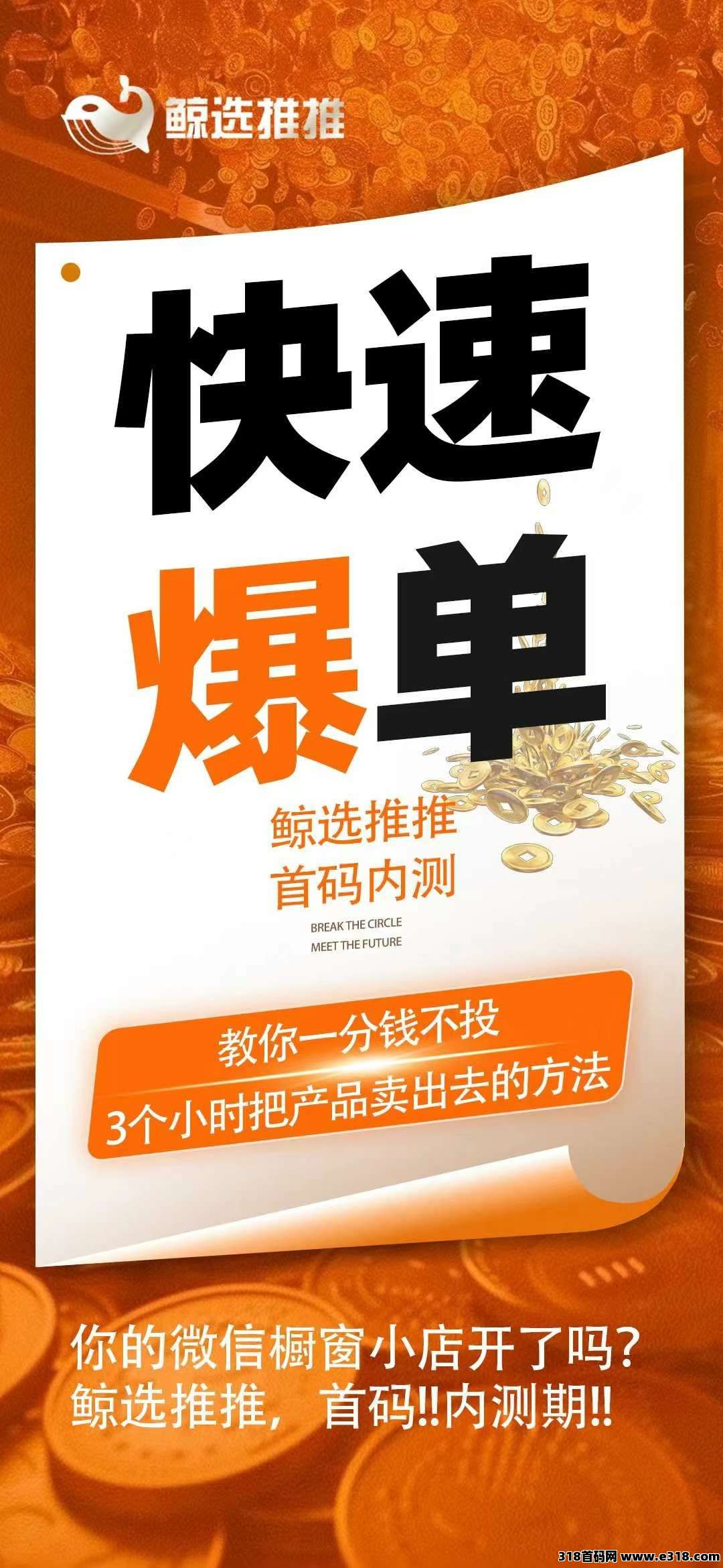 鲸选推推，视频号赚钱密码