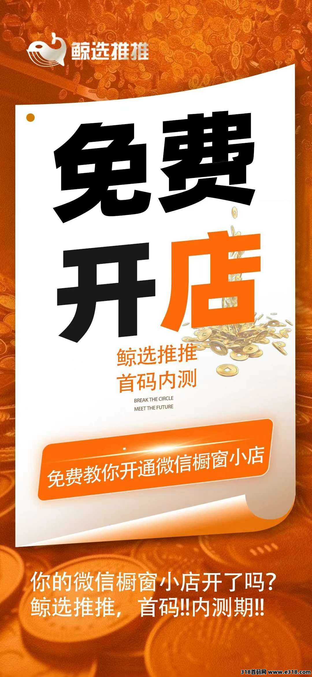 鲸选推推，视频号赚钱密码