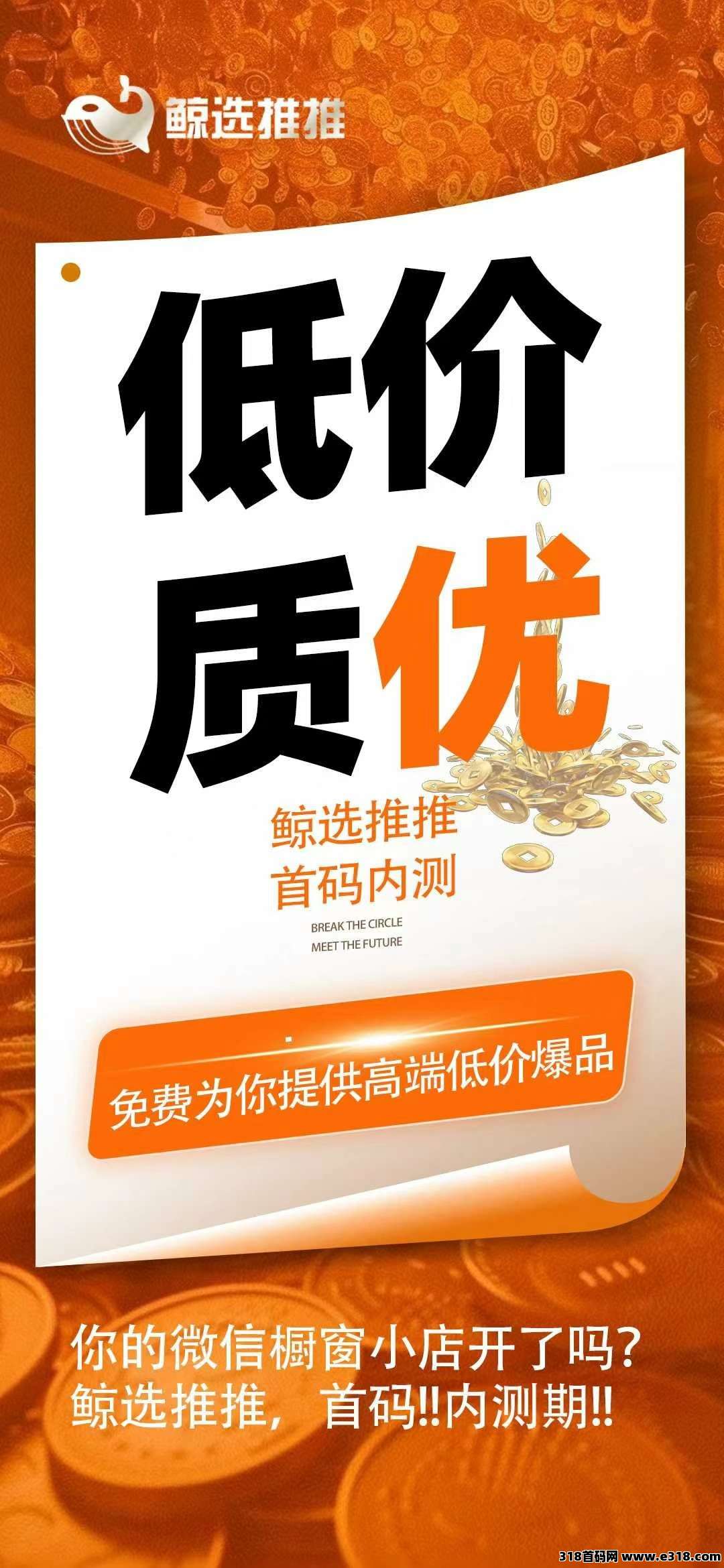 鲸选推推，视频号赚钱密码