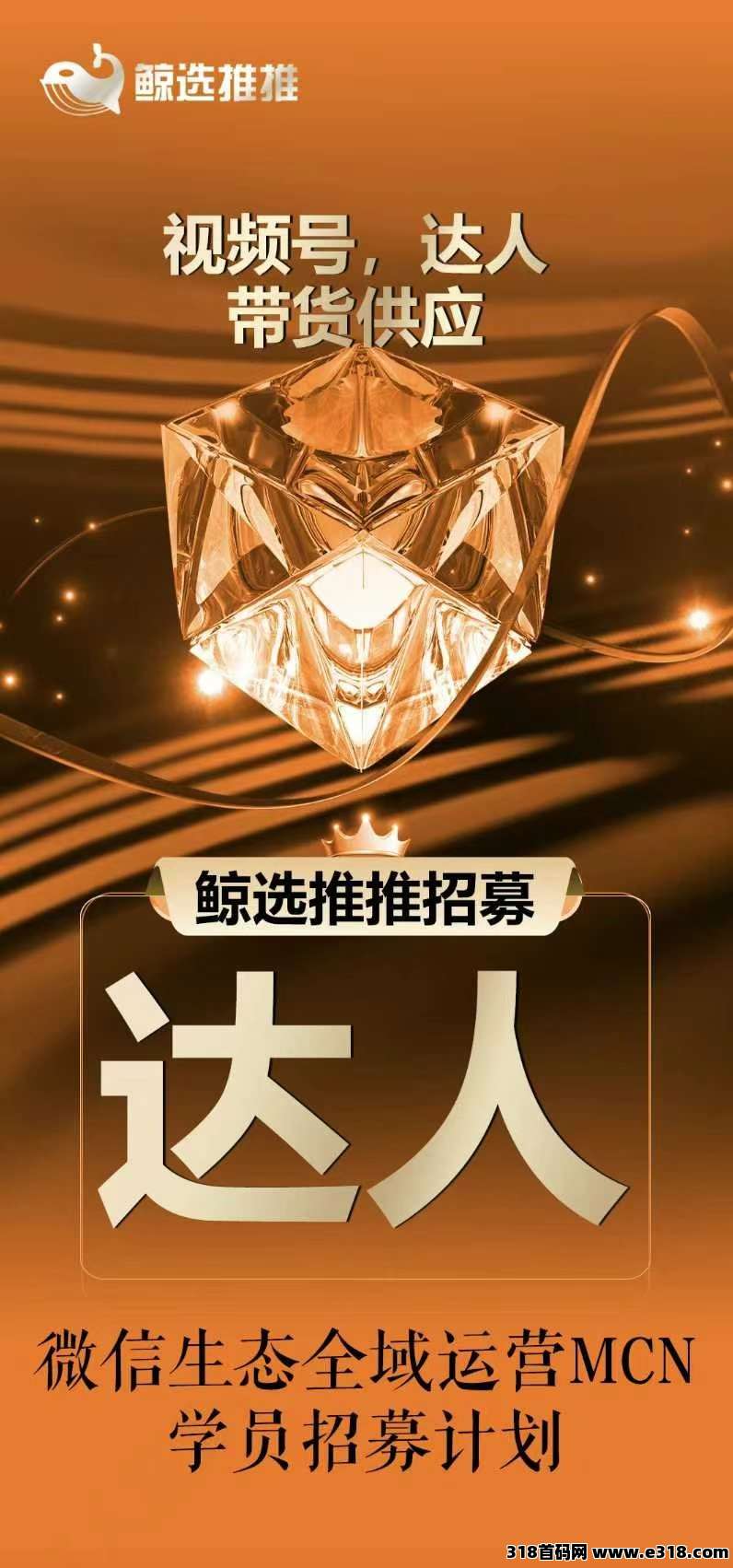 鲸选推推暴富风口