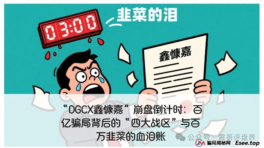 “DGCX鑫慷嘉”：百亿骗局背后的“四大战区”与百万韭菜的血泪账