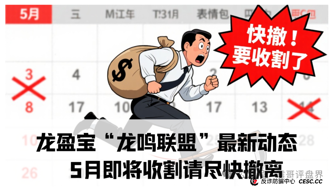 龙盈宝“龙鸣联盟”最新动态：5月即将收割请尽快撤离