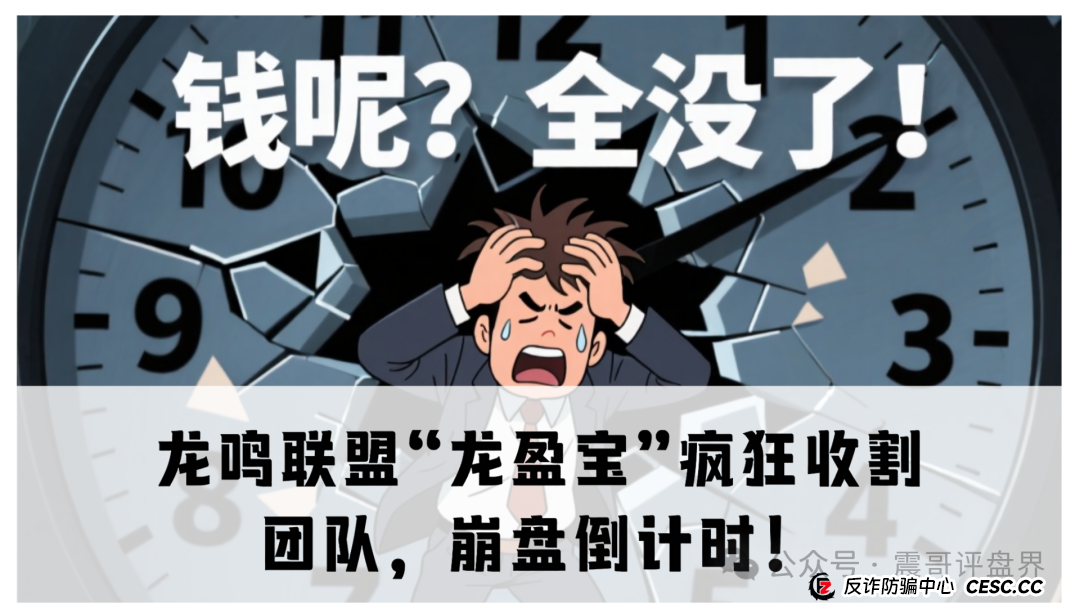 震哥独家揭秘：龙鸣联盟“龙盈宝”疯狂收割团队，崩盘倒计时！