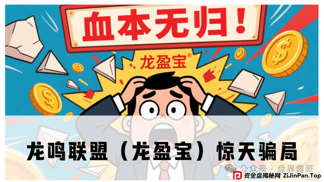 龙鸣联盟（龙盈宝）惊天骗局！震哥带你扒光操盘手的套路，再不跑就
