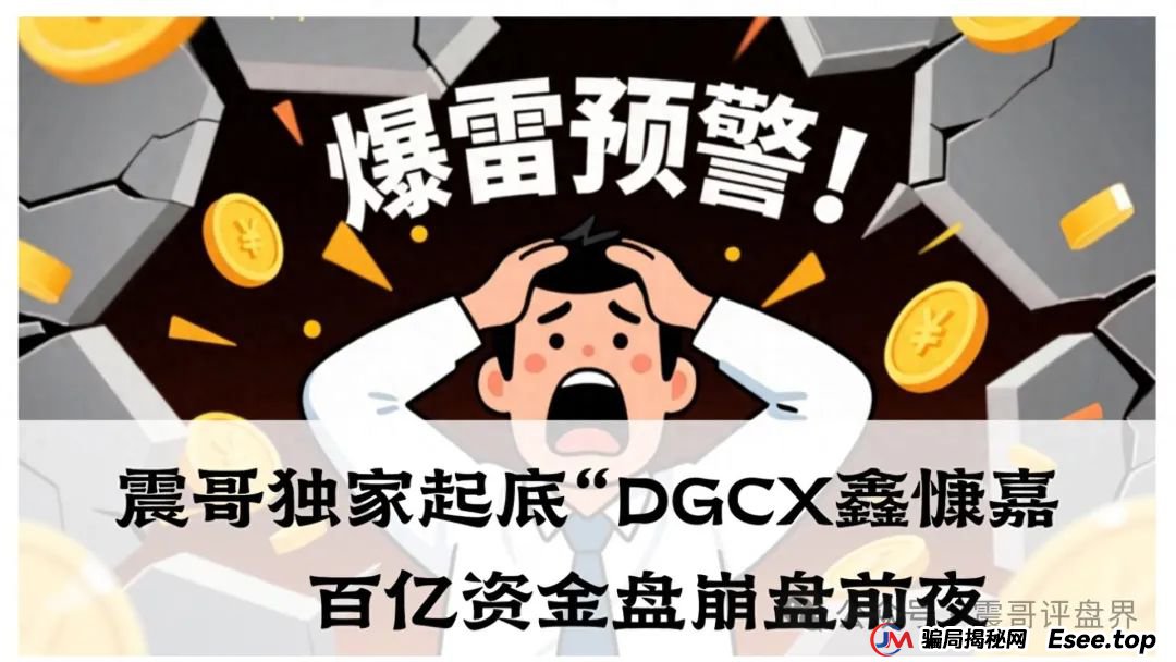 独家起底DGCX鑫慷嘉：百亿资金盘崩盘前，130万“韭菜”的血泪账