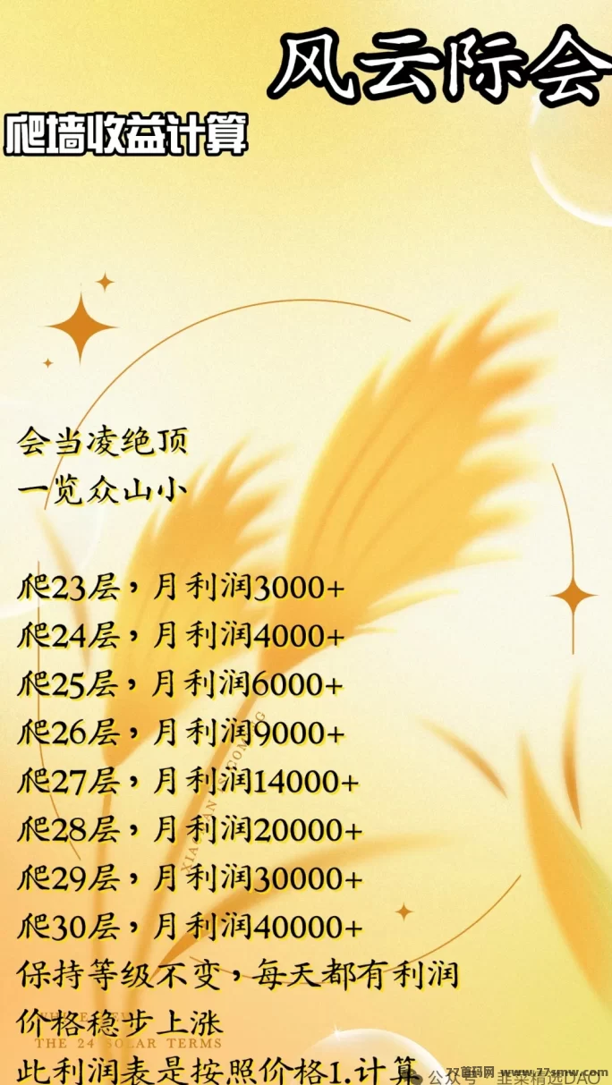 风云际会首码项目全解析：多元玩法融合，生态全面启动！