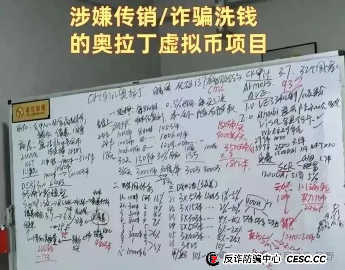 85%跌幅+客服蒸发！奥拉丁从“币圈新星”变“收割镰刀”，投资者血本