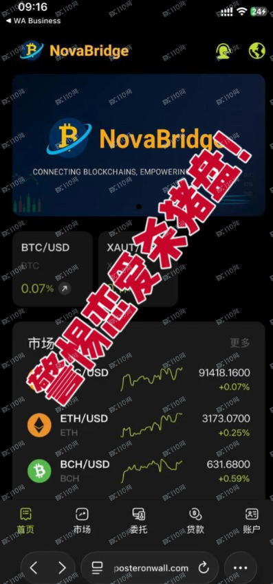 曝光NovaBridge虚假交易所恋爱杀猪盘 曝光NovaBridge虚假交易所恋爱杀猪盘