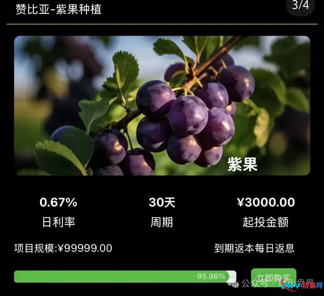 “华洋绿投”骗局全解析:日息近1%、保本返利?实为包装精美的金字塔式传销诈骗 “华洋绿投”骗局全解析:日息近1%、保本返利?实为包装精美的金字塔式传销诈骗