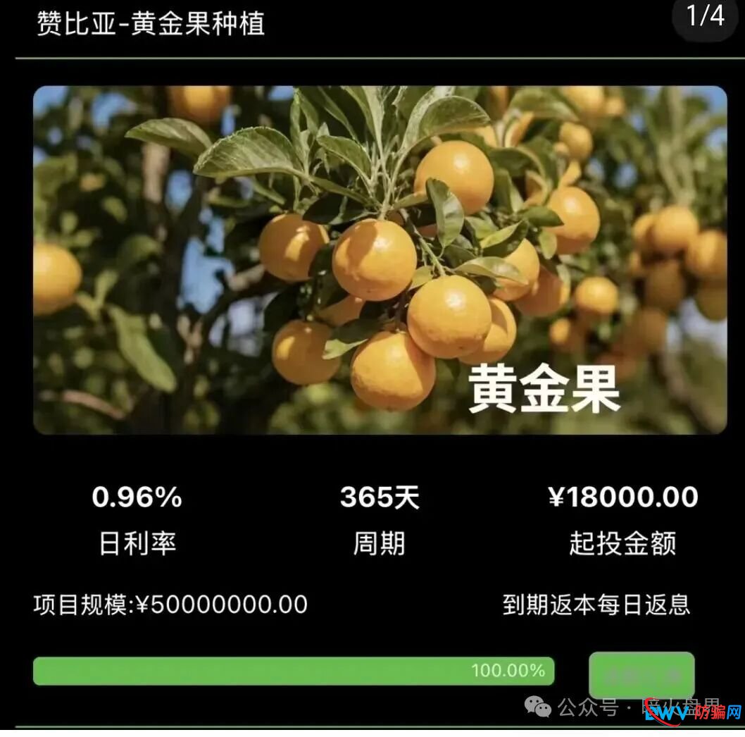 “华洋绿投”骗局全解析:日息近1%、保本返利?实为包装精美的金字塔式传销诈骗 “华洋绿投”骗局全解析:日息近1%、保本返利?实为包装精美的金字塔式传销诈骗