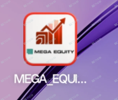 从“MEGA”到“MEGA EQUITYA”：一场席卷中印的“杀猪盘”启示录