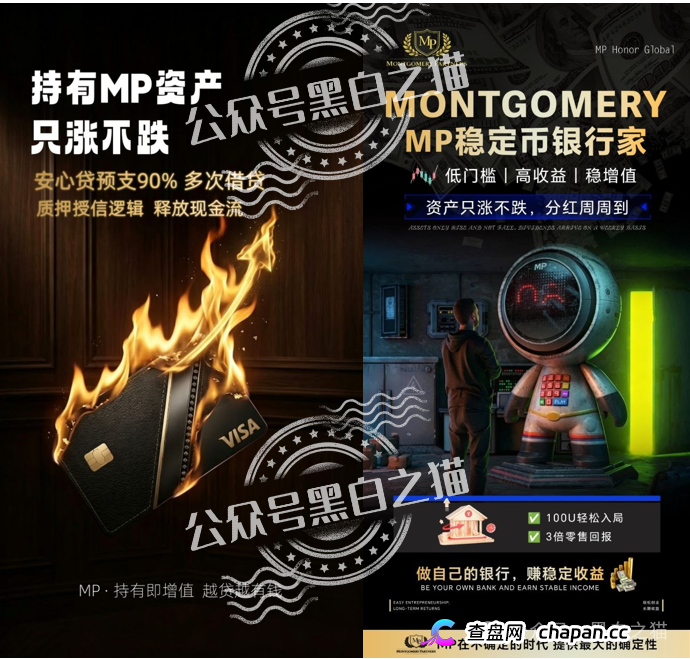 “MP蒙哥马利”项目暗藏玄机，巨大渔网洒向投资人(13)