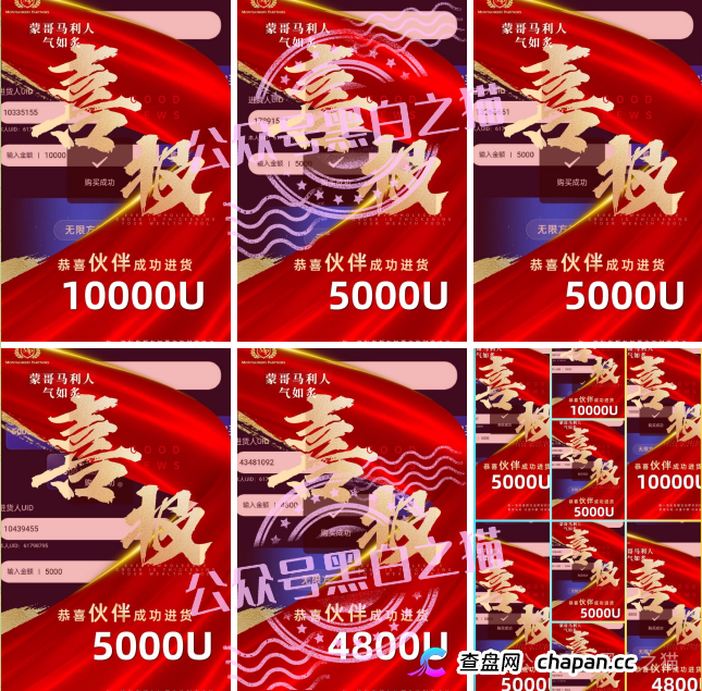 “MP蒙哥马利”项目暗藏玄机，巨大渔网洒向投资人(15)