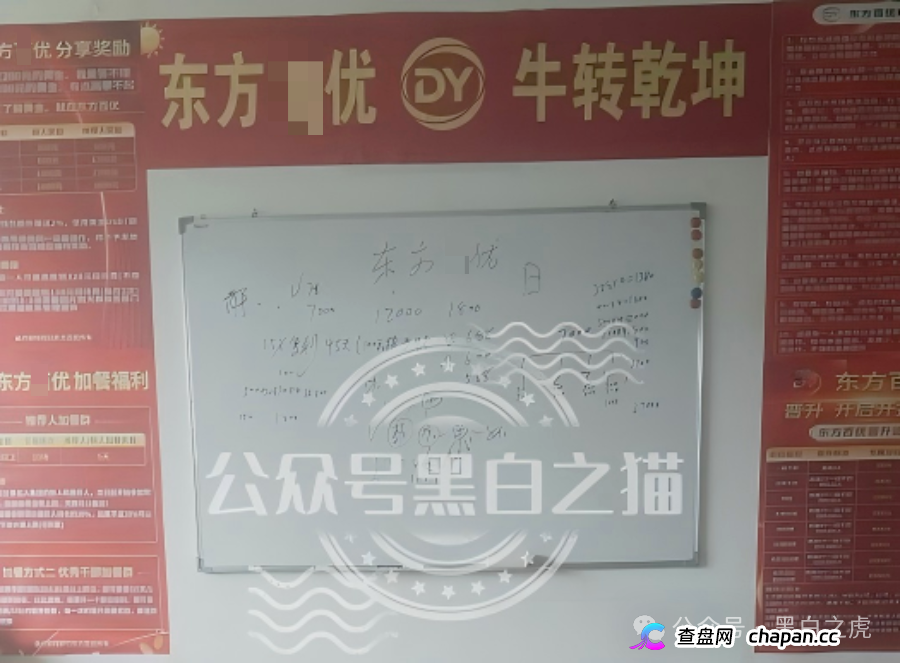 山东团队拉新变慢，项目方KPI定生死｜“东方百优”单割倒计时进入最后10天(2)