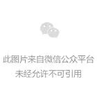 兔子保险基金(ACHMAN阿赫曼):震哥曝光这个柬埔寨资金盘骗局(3) 兔子保险基金(ACHMAN阿赫曼):震哥曝光这个柬埔寨资金盘骗局(3)