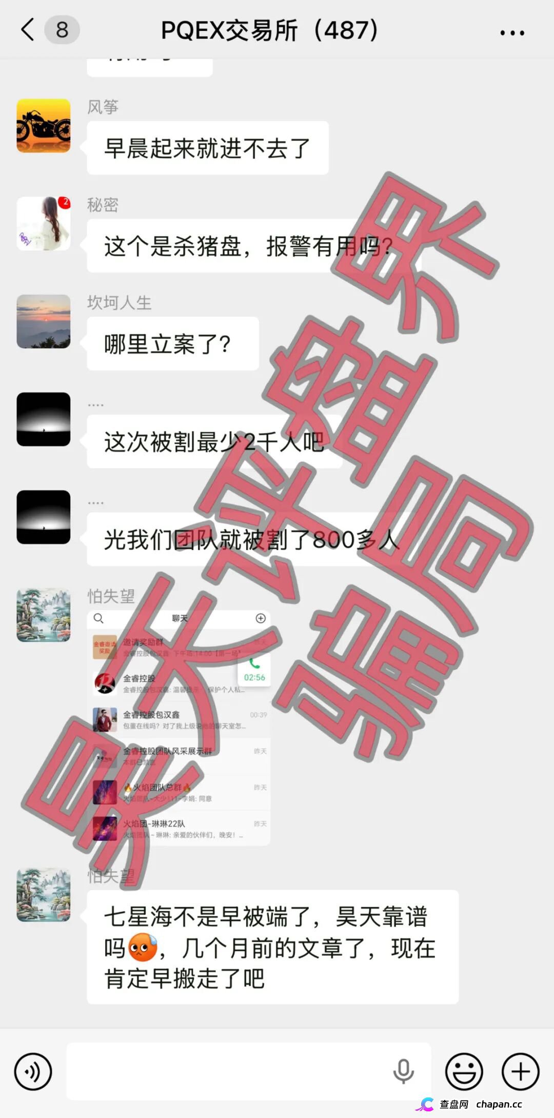金睿控股PQEX交易所单割2000余人，换皮资金盘进入崩盘倒计时